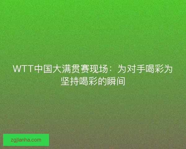 WTT中国大满贯赛现场：为对手喝彩为坚持喝彩的瞬间